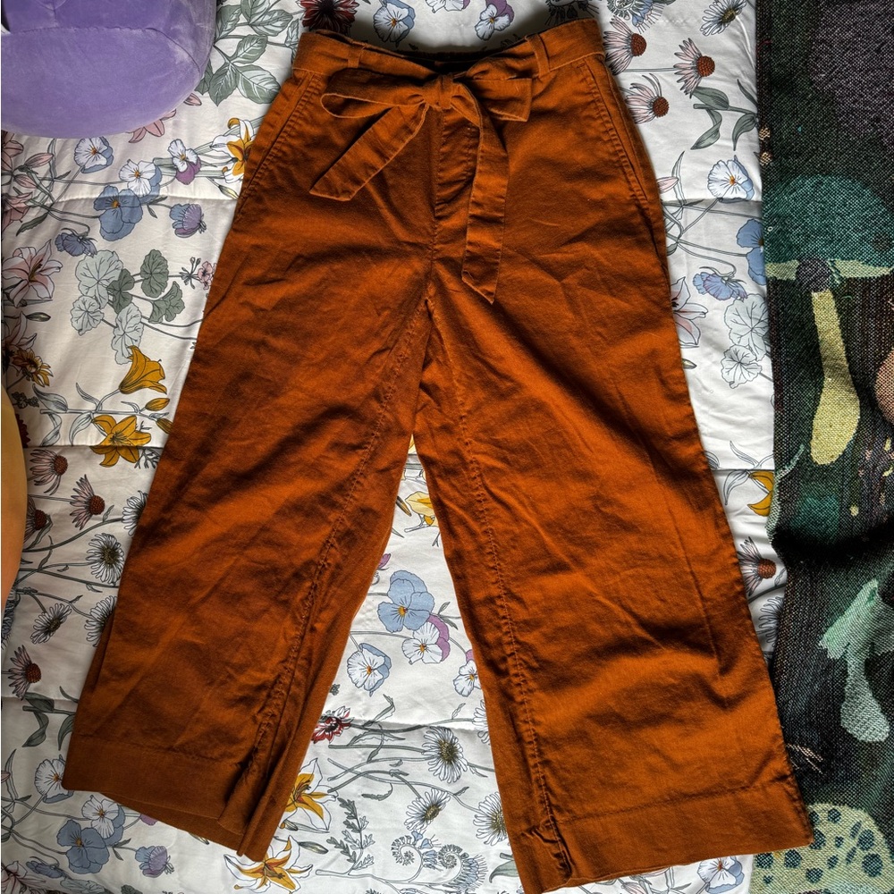 Banana Republic Cinnamon Wide-Leg Trousers